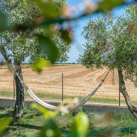 Ortopi Country Canapa House Porto Recanati Exteriér fotografie